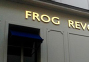 Frog Revolution - image 2