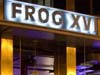The Frog XVI - image 2